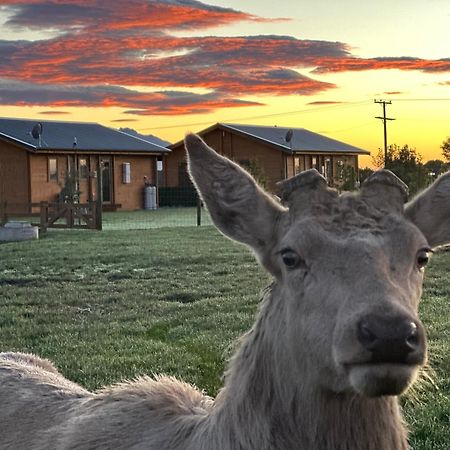 Deerbrooke Kaikoura Chalets - Chalet 2 Экстерьер фото