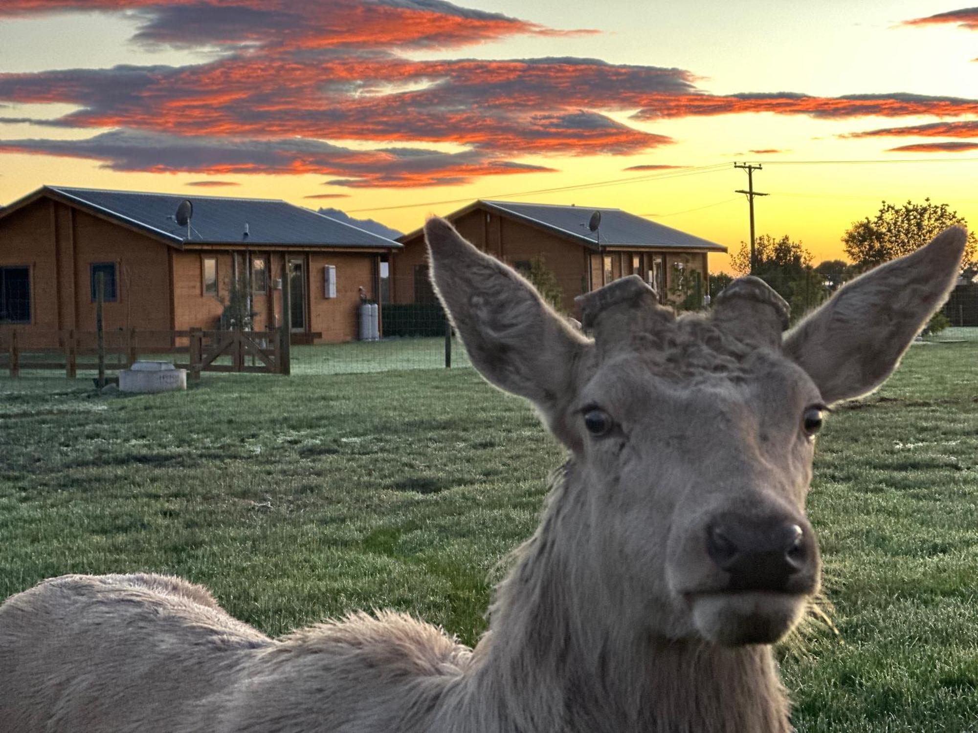 Deerbrooke Kaikoura Chalets - Chalet 2 Экстерьер фото
